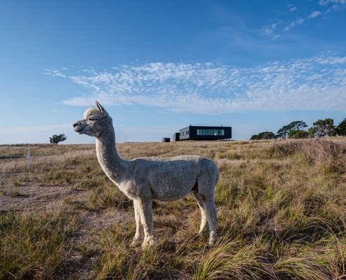 New Farmhouse French Island by Lai Cheong Brown (via Lunchbox Architect)