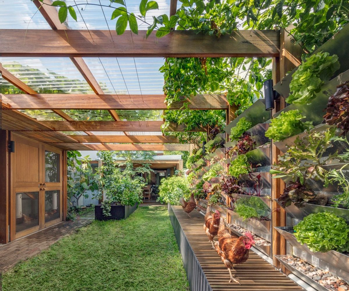 Urban Farming is Just the Beginning at the Sustainable Inner-city Home