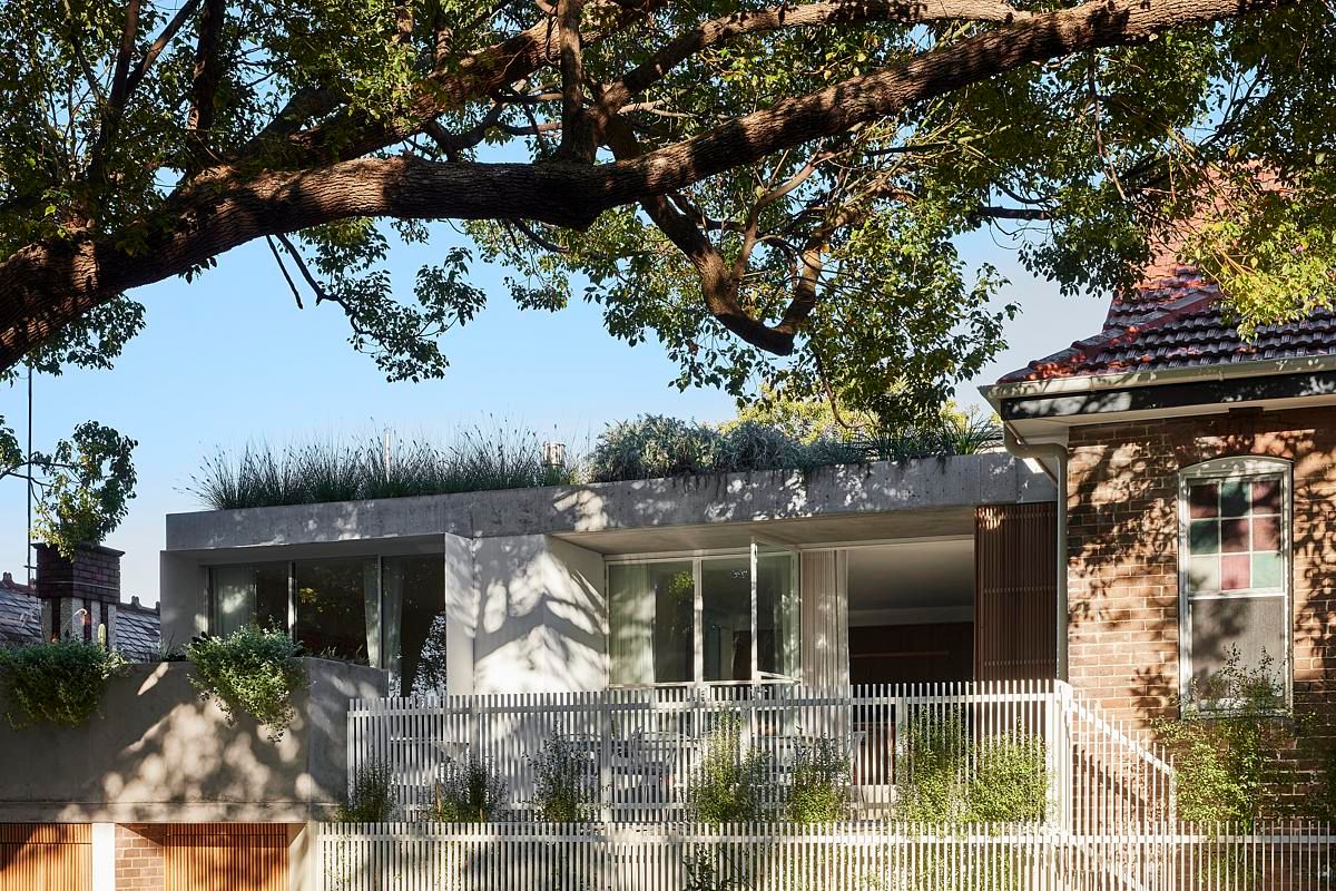 A Federation Home Transformed: Inside a Newtown Masterpiece