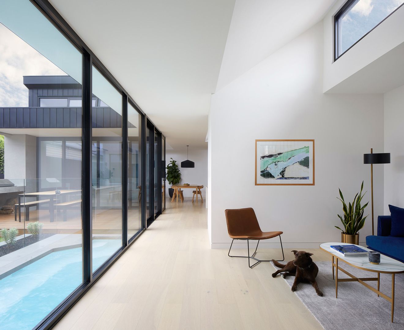 Is a Light-filled House With a South-facing Backyard Possible?