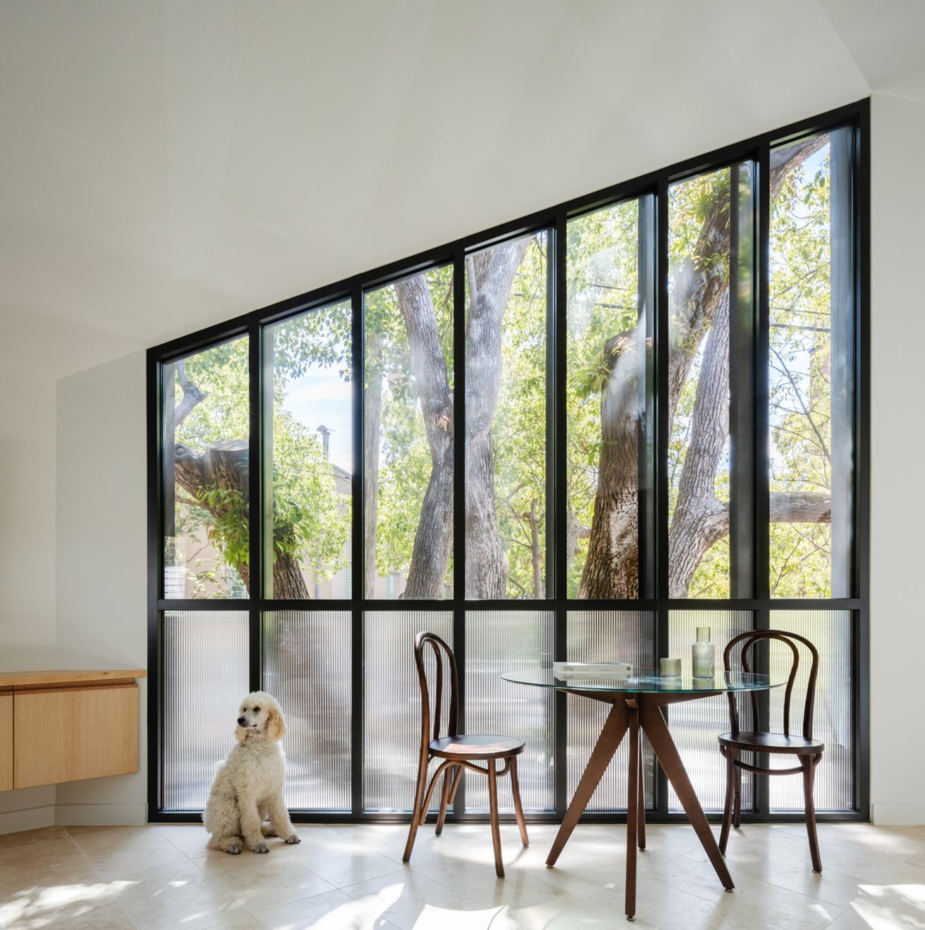 A Stunning Self-contained Studio Perched Among The Trees