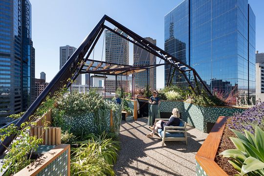 Green roofs