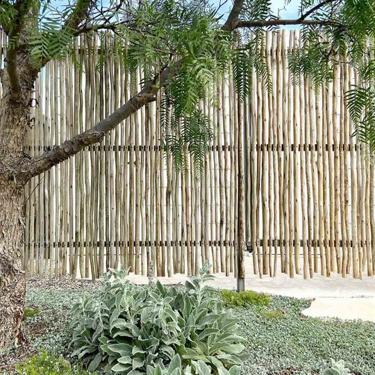 Outdoor Privacy Solutions: Stylish Fencing