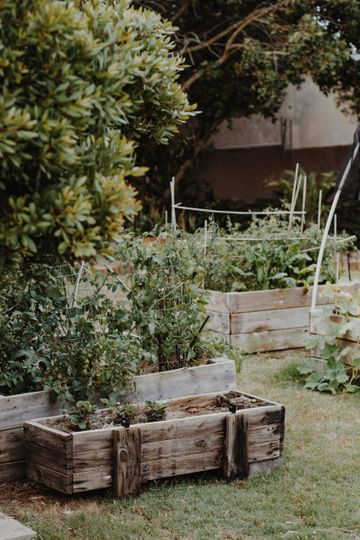 Raised Garden Beds and Herb Kits for Edible Landscaping