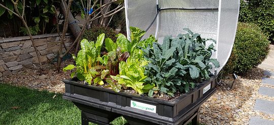 Raised Garden Beds and Herb Kits for Edible Landscaping