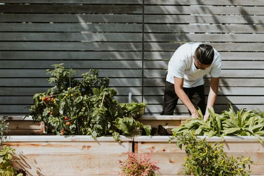 Raised Garden Beds and Herb Kits for Edible Landscaping