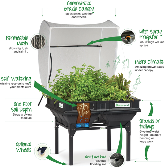 Smart Garden Technology: Irrigation Systems, Lighting, and More