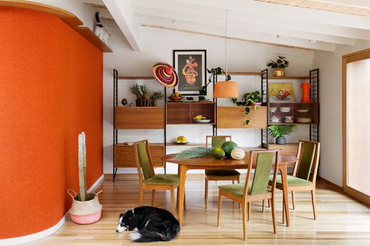 Crazy About Cats? We May Have Found Your Perfect Inner-City Abode...