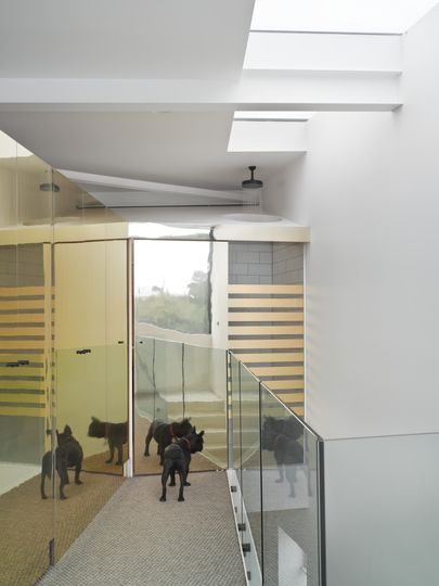 Upstairs at Cubby House, the dog's reflection shows us how the reflection of light is used to make the space feel larger