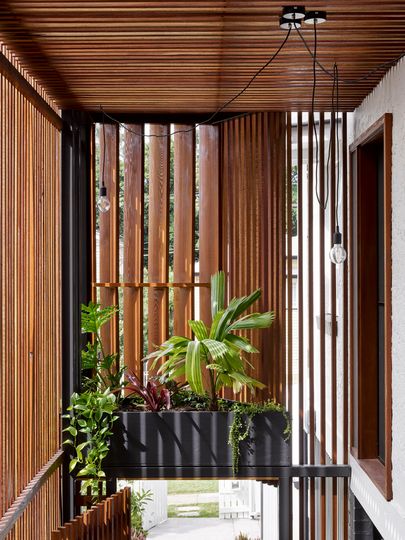 An Eco-friendly Addition Reinterprets a Classic Queenslander