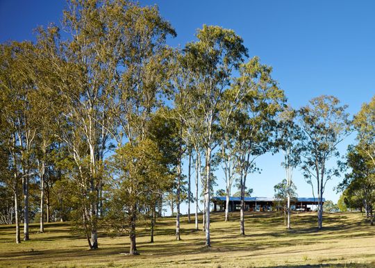 Hinterland House by Shaun Lockyer Architects (via Lunchbox Architect)