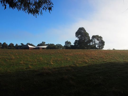 Leura Lane House viewed from a distance has a distinctive form