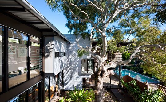 Marcus Beach House by Bark Design Architects (via Lunchbox Architect)