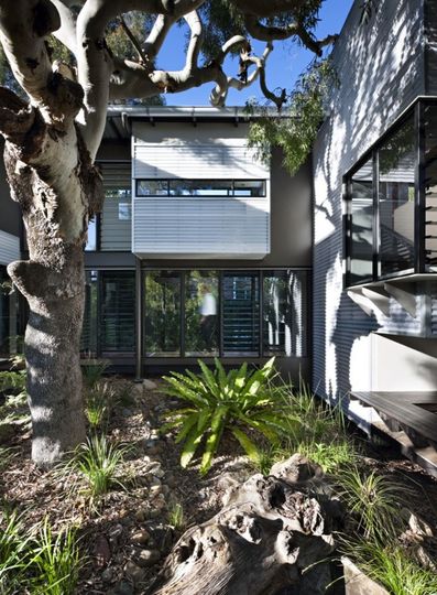 Marcus Beach House by Bark Design Architects (via Lunchbox Architect)