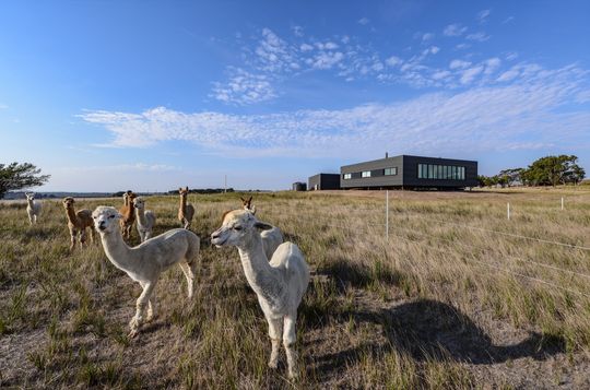 This Off-Grid Prefab House Is Perfect for Beautiful but Isolated Site