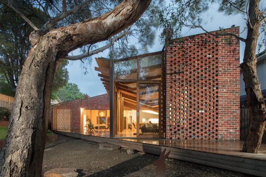 A Renovation that Honours a Beautiful Old Gum Tree in the Backyard