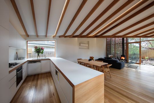 A Renovation that Honours a Beautiful Old Gum Tree in the Backyard