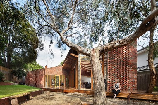 A Renovation that Honours a Beautiful Old Gum Tree in the Backyard