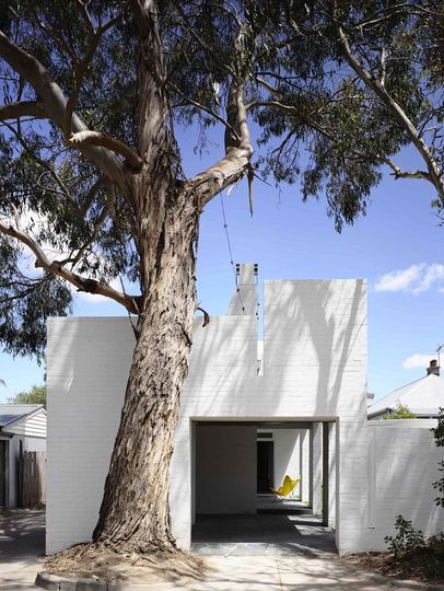 A large Eucalyptus tree overhangs the rear of Park Lane House the home is designed to take advantage of this natural feature