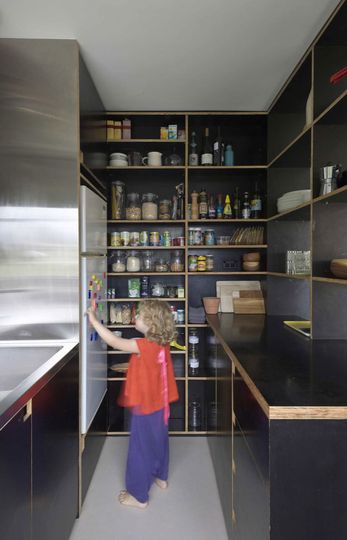 Open storage and black plywood joinery define the Potts Point Apartment kitchen