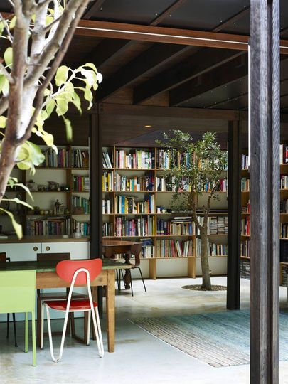Trees grow indoors at Raven Street House