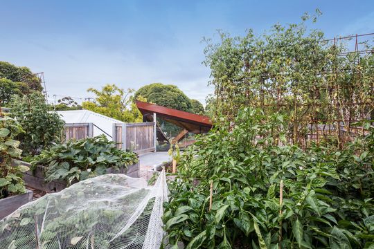 Glazed Roof Floats Like a Leaf Capturing Views of Trees and Sky