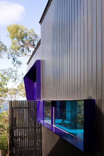 A splash of purple around the window of Treehouse contrasts with the surrounding eucalyptus trees and ocean beyond