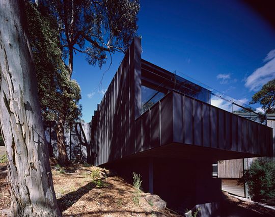 Treehouse is set on a site with a number of established eucalyptus trees overlooking the ocean in Lorne on Australia's Great Ocean Road