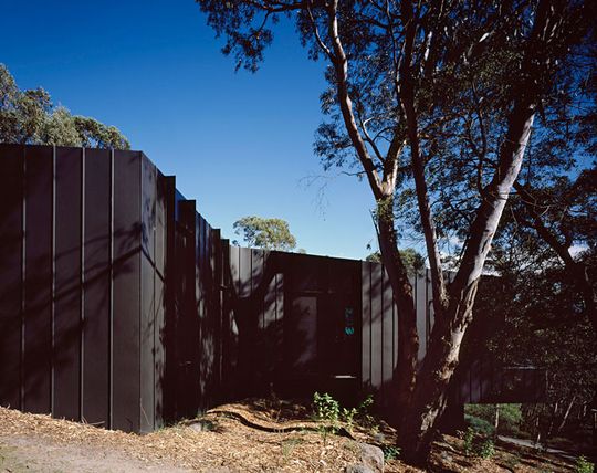 The black timber Treehouse has an asymmetrical plan that wraps around the eucalyptus trees