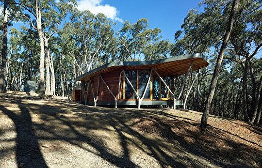 Trunk House is a small bush house built from stringy bark trees cleared from the site