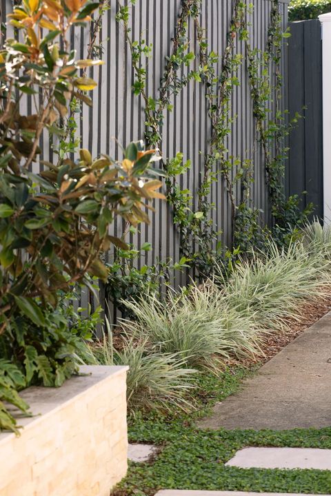 View of Maximising Small Outdoor Spaces: Tips and Tricks