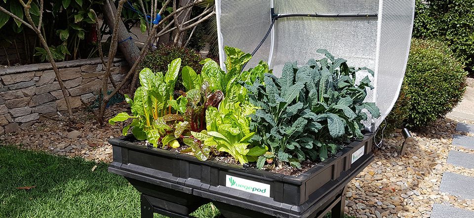 Image showcasing Creating an Eco-Friendly Garden: Start with the Basics